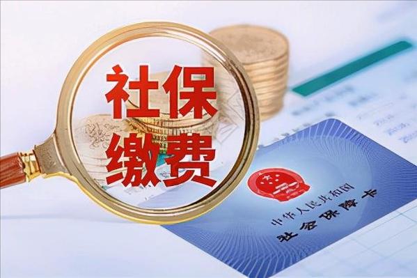 社保缴费游戏截图