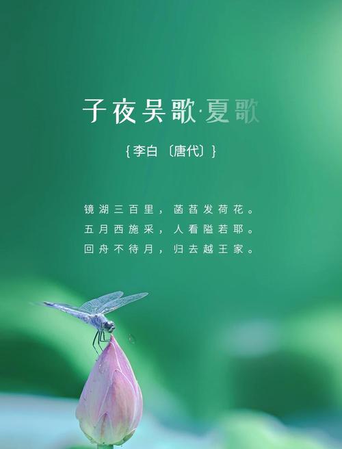 关于夏天的古诗30首游戏截图