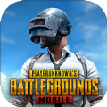 pubg国际服直装科技辅助免费下载-pubg国际服直装科技辅助下载免费游戏截图