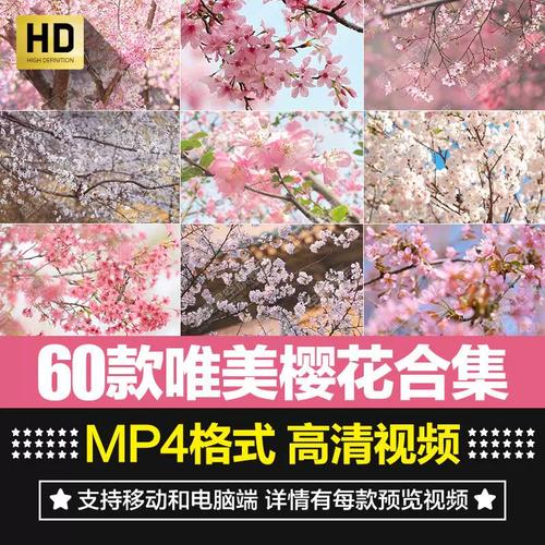 樱花短视频手机版下载缩略图