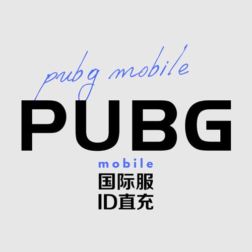 PUBG官方充值链接游戏截图