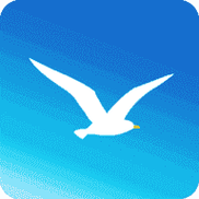 海鸥加速器npv下载 v6.5.0游戏截图