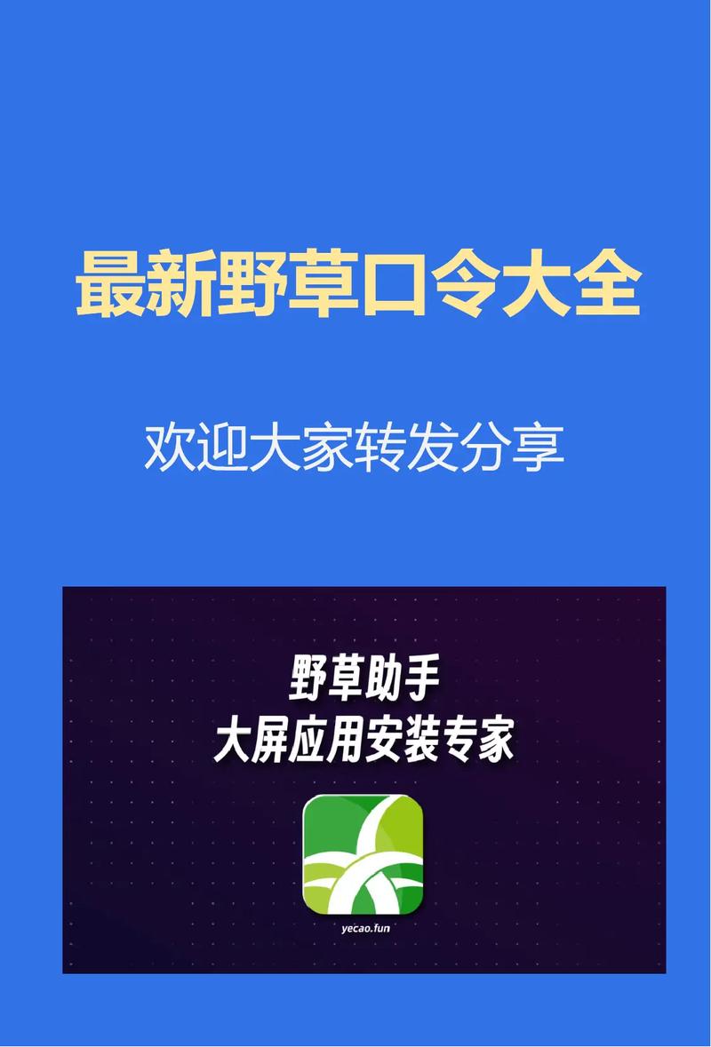 电视野草口令缩略图