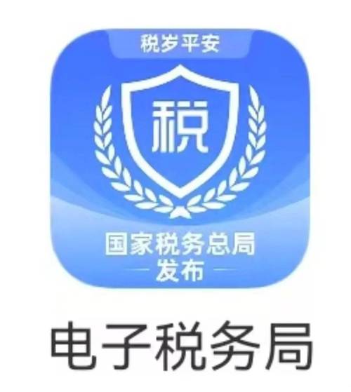 电子税务局app安装游戏截图