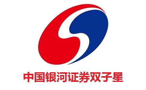 中国银河双子星证券缩略图