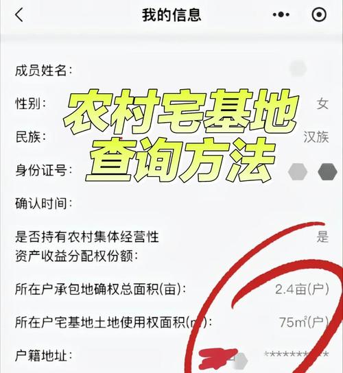 宅基地地图查询用什么软件缩略图