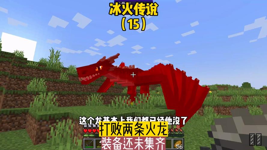 一款单机老游戏有冰龙火龙