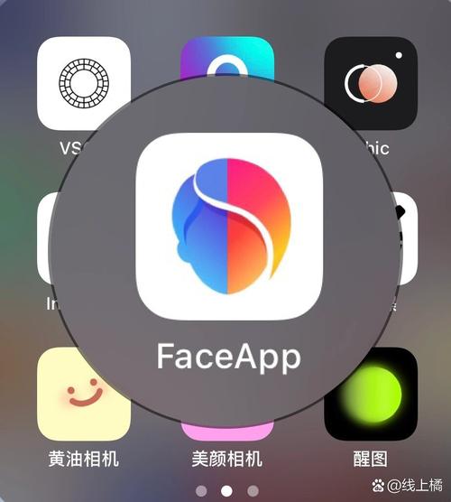 faceme安卓破解版