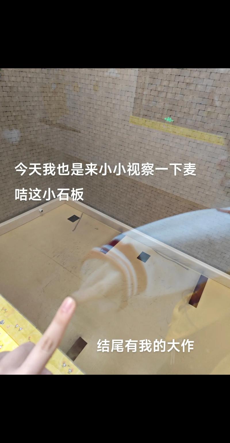 疯狂的麦咭掉下去实景