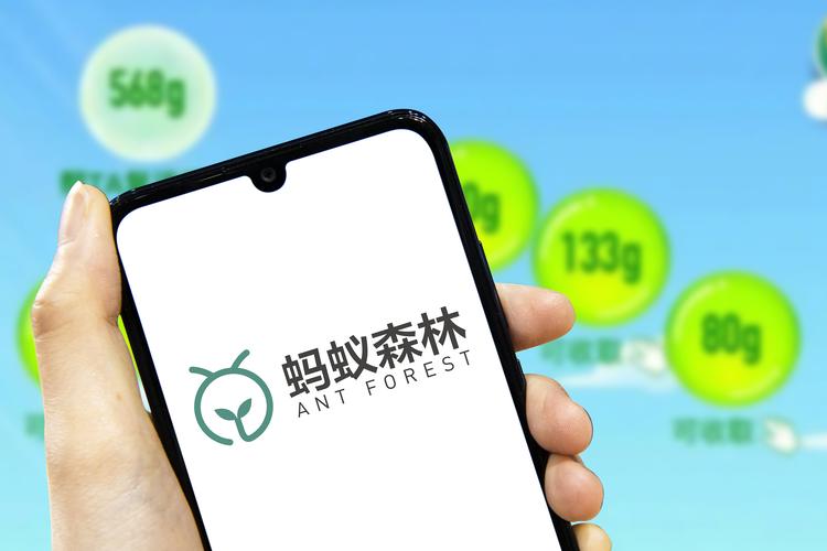 蚂蚁种树赚钱版游戏截图