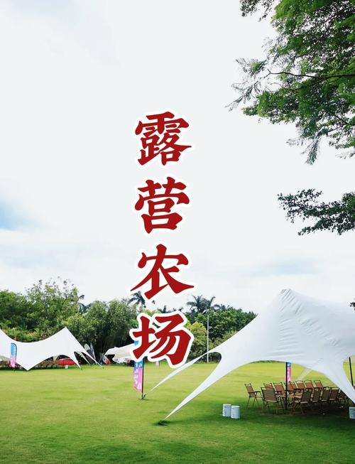 秘境农场app游戏截图