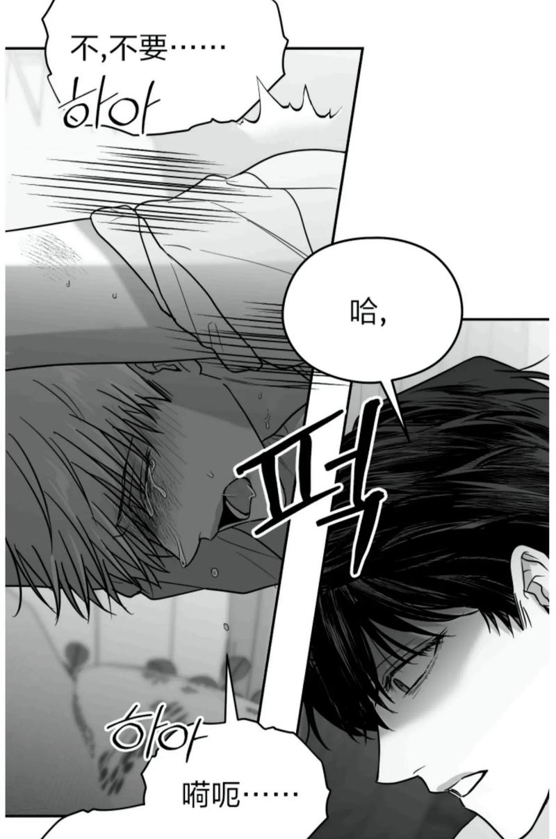 非非非非漫画免费漫画图标