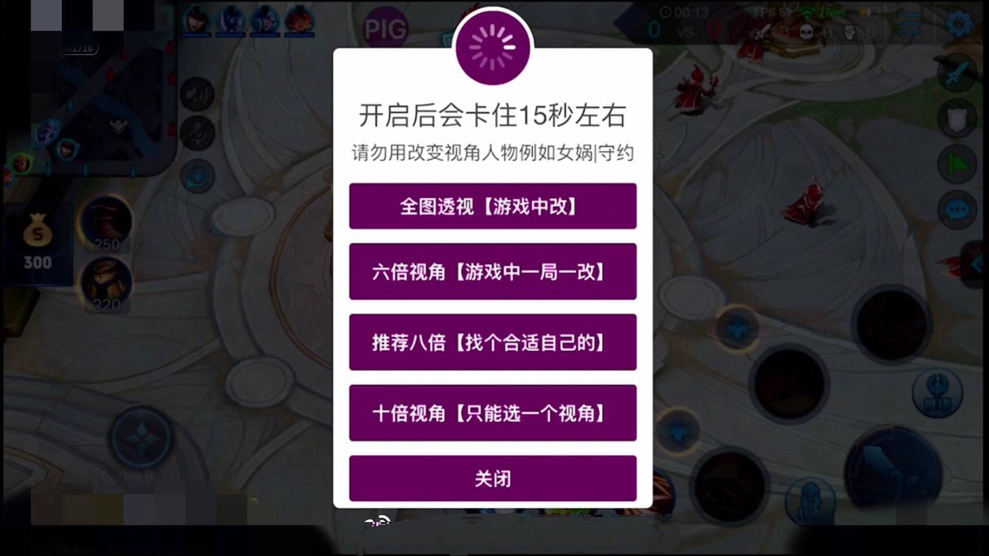 王者全图透视挂v1.0游戏截图