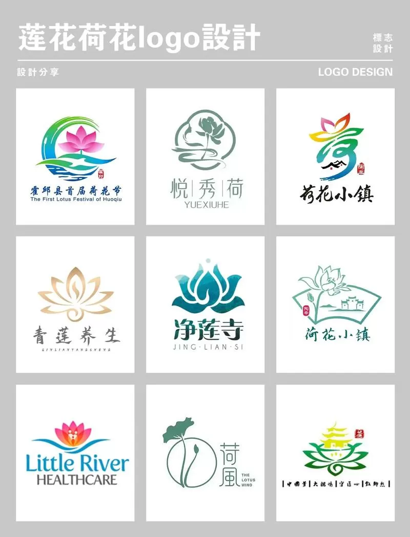 荷花概括主要内容缩略图