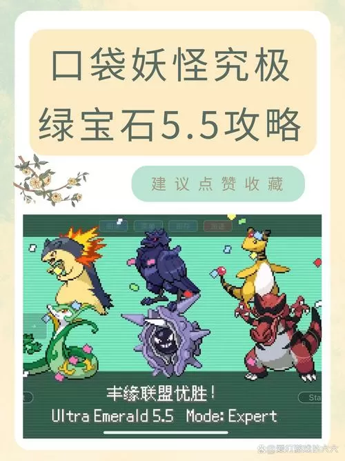绿宝石5.5一周目攻略完整详细图文缩略图