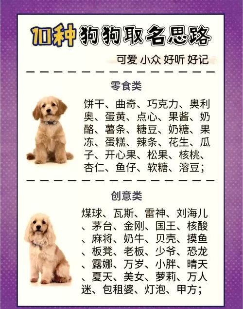 狗的高级替换词缩略图