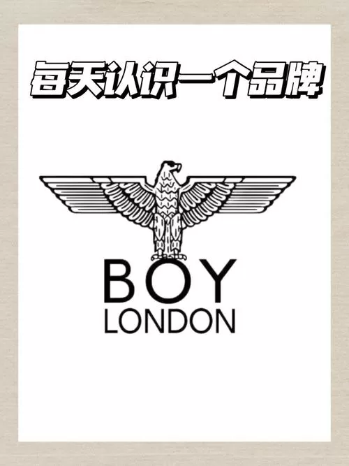 Boylove正版官方中文版使用方法图标