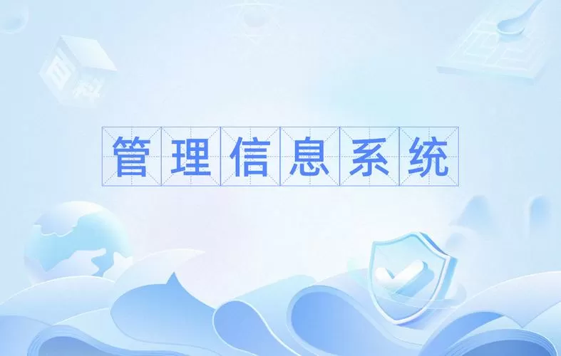 信息管理与信息系统缩略图