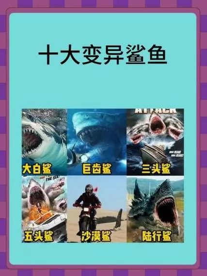 鲨鱼1.1.1破解版最新版本更新内容缩略图