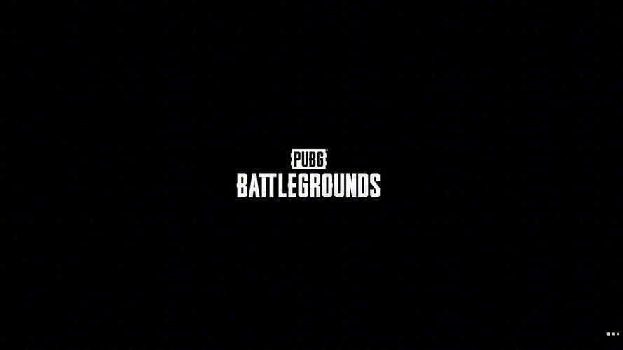 小月官方云盘官方pubg无删减版游戏截图