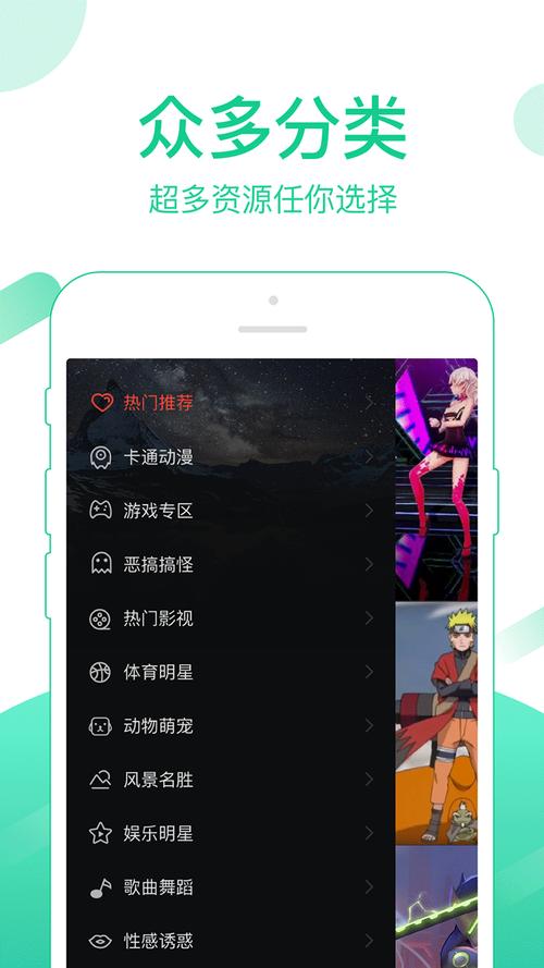 火萤视频桌面app安装最新版本更新内容汉化版缩略图