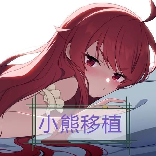 冷狐移植2000部游戏合集缩略图