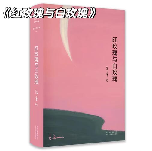 红玫瑰与白玫瑰阅读提米版游戏截图