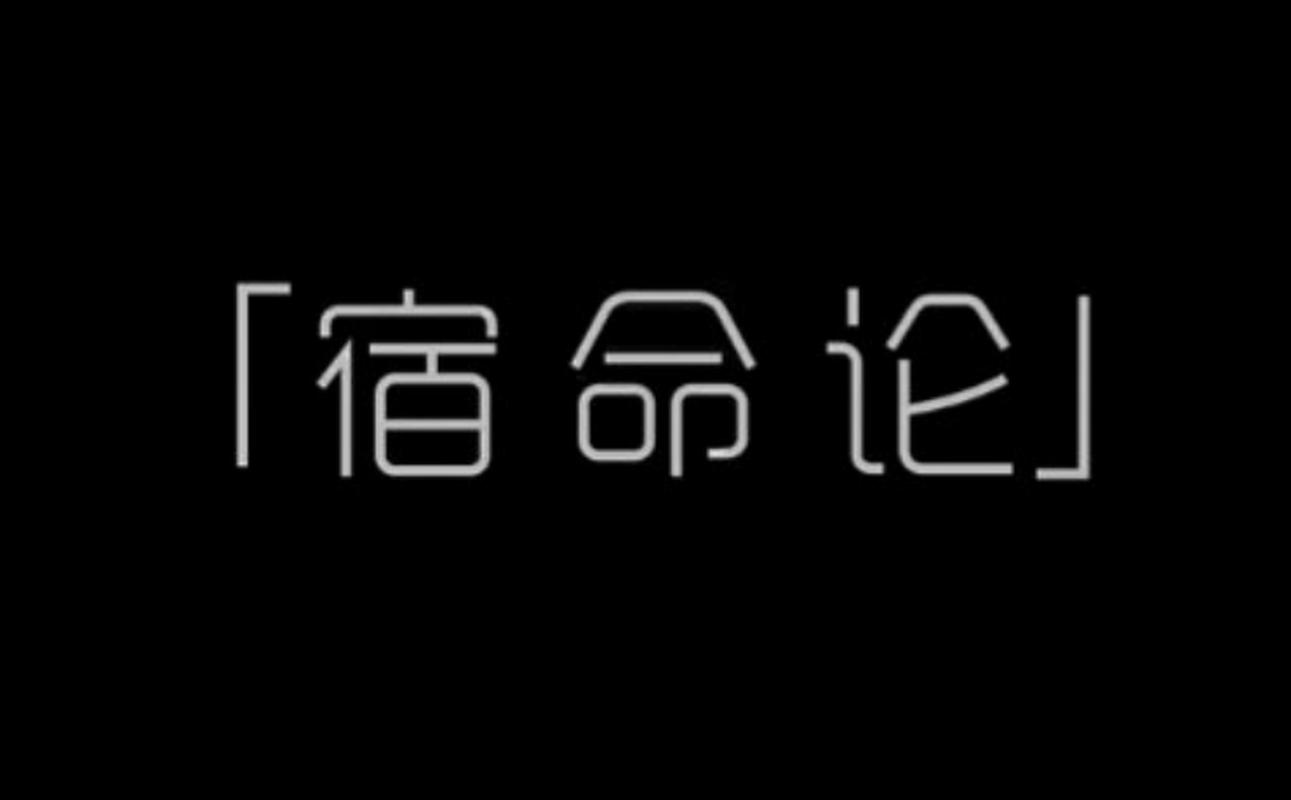 宿命论汉化缩略图