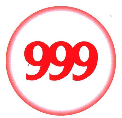 999‰在线阅读缩略图