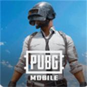 pubg轻量版北辰轻体直装最新版缩略图