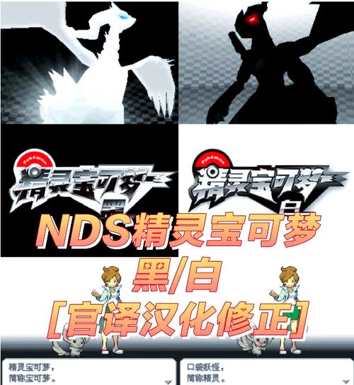 宝可梦黑白全随机2024最新消息去限制版游戏截图