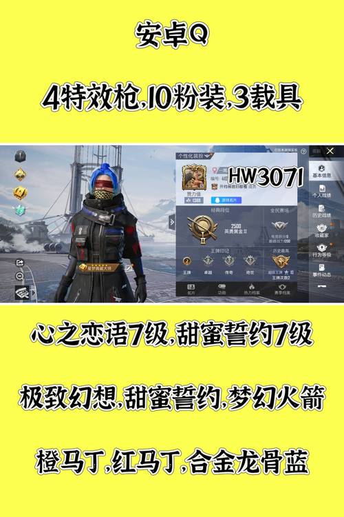 出售和平精英账号交易平台游戏截图