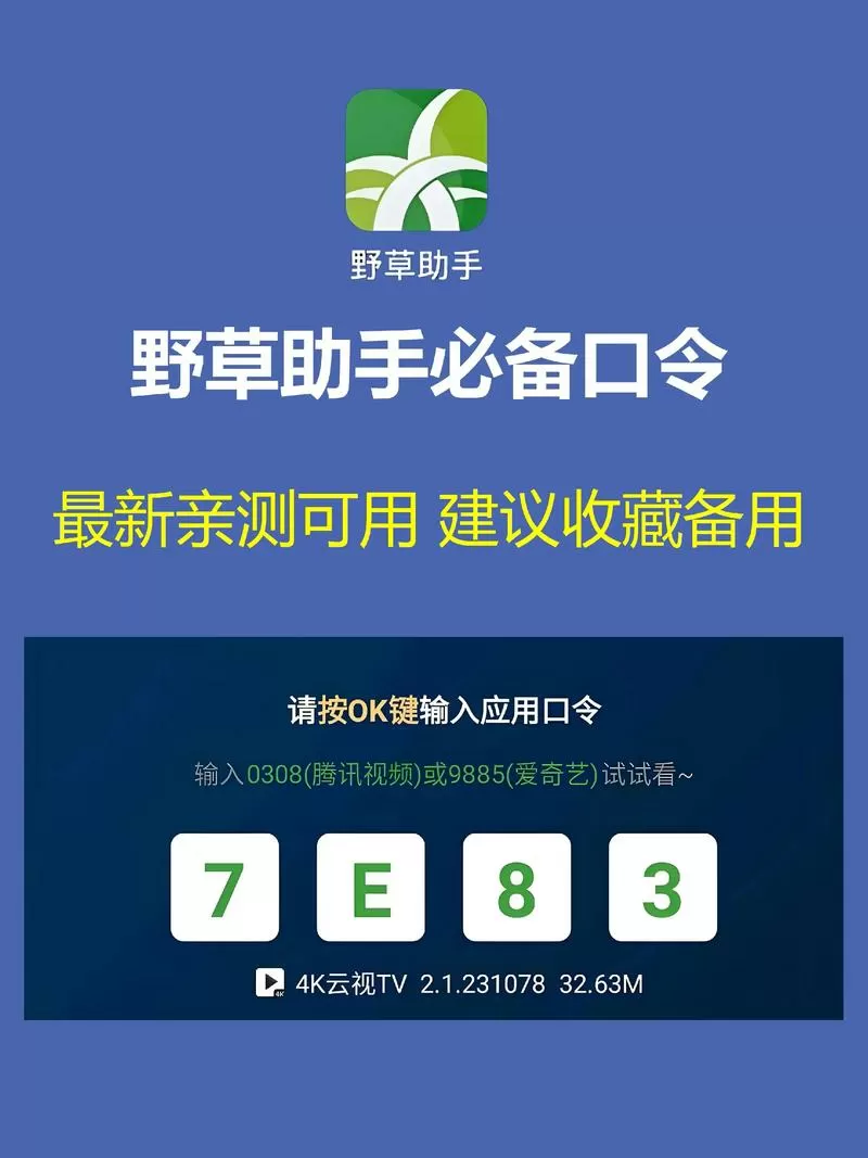 野草口令100个游戏截图