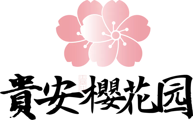 樱花游戏游戏截图