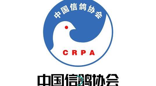 中国信鸽查询系统缩略图