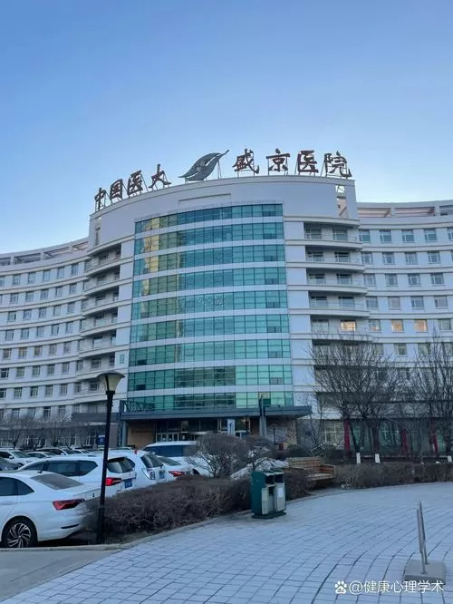 盛京医院滑翔院区缩略图