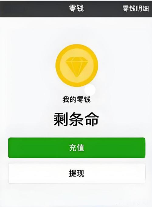 星闪钱包下款了,但是钱没到账图标
