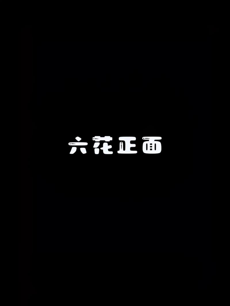 六花端口6.0最新版本游戏截图