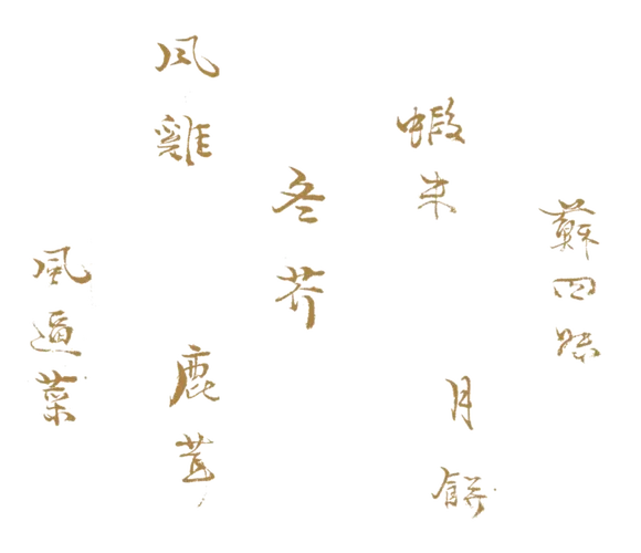 入赘为婿岳风546章缩略图