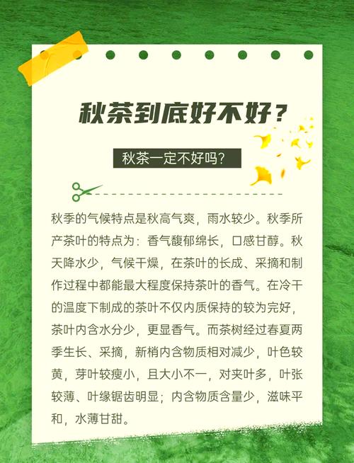 秋茶语音官方免费版2023最新版本缩略图
