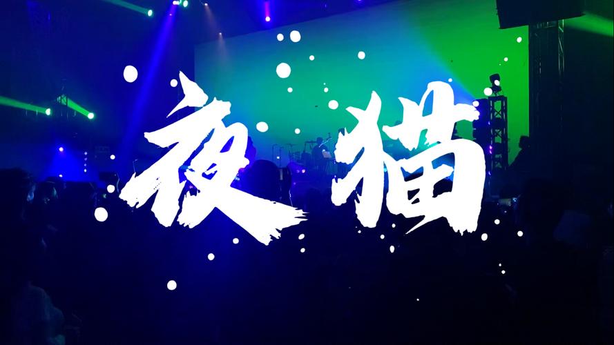 夜猫视频免费观看全部电视剧缩略图