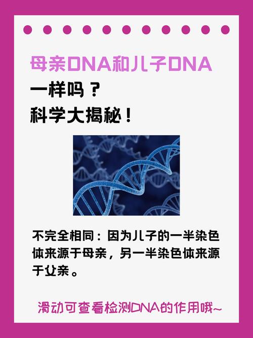 日本妈妈dna和儿子dna区别缩略图