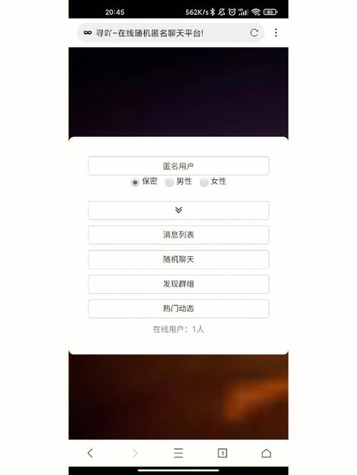 匿名聊天网页版缩略图