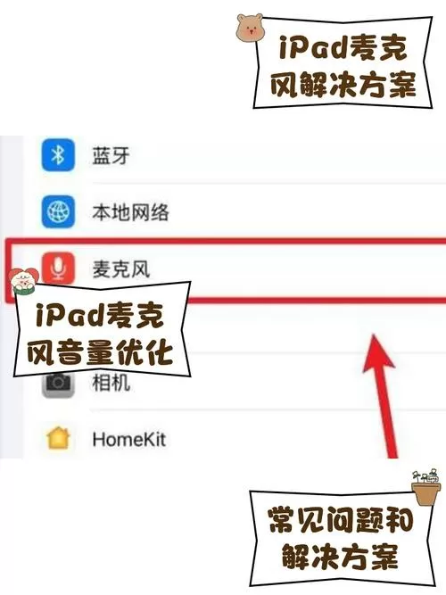 苹果麦克风降噪设置在哪里缩略图