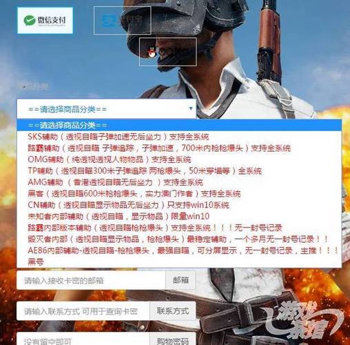pubg直装免费直装外挂无限次数版缩略图