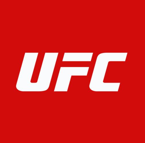 ufcmobile2官方正版游戏截图