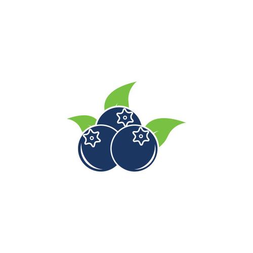 蓝莓视频素材大全缩略图