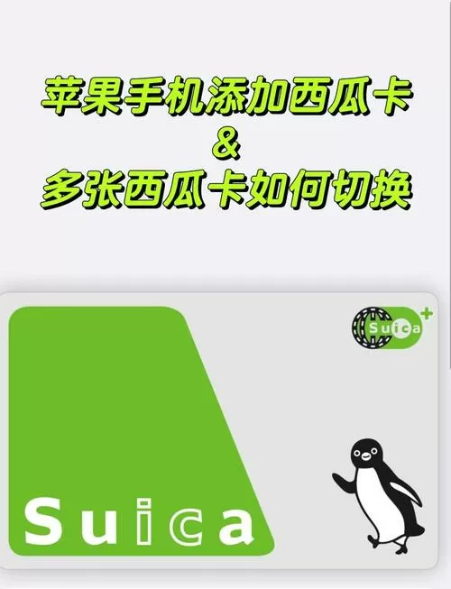 手机看西瓜视频卡是什么原因缩略图