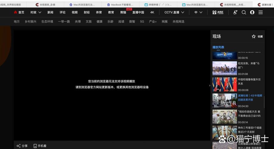 视频格式不支持播放缩略图