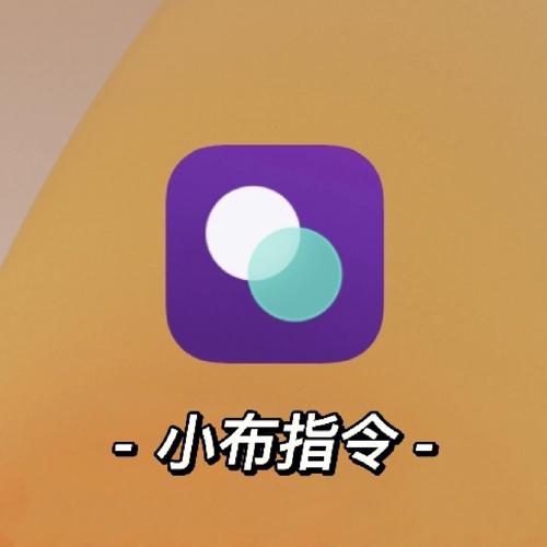 小布指令官方正版缩略图